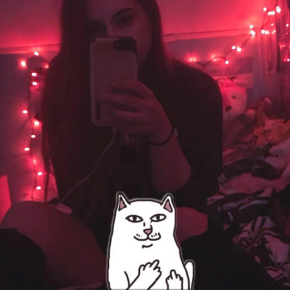 taylorrapavi